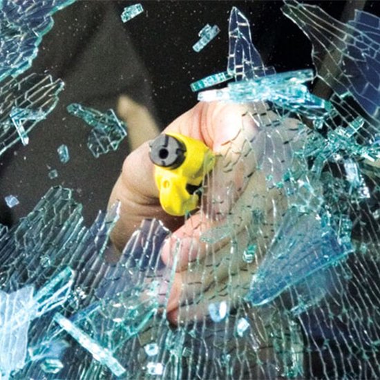 Ruitentikker-ruitenbreker